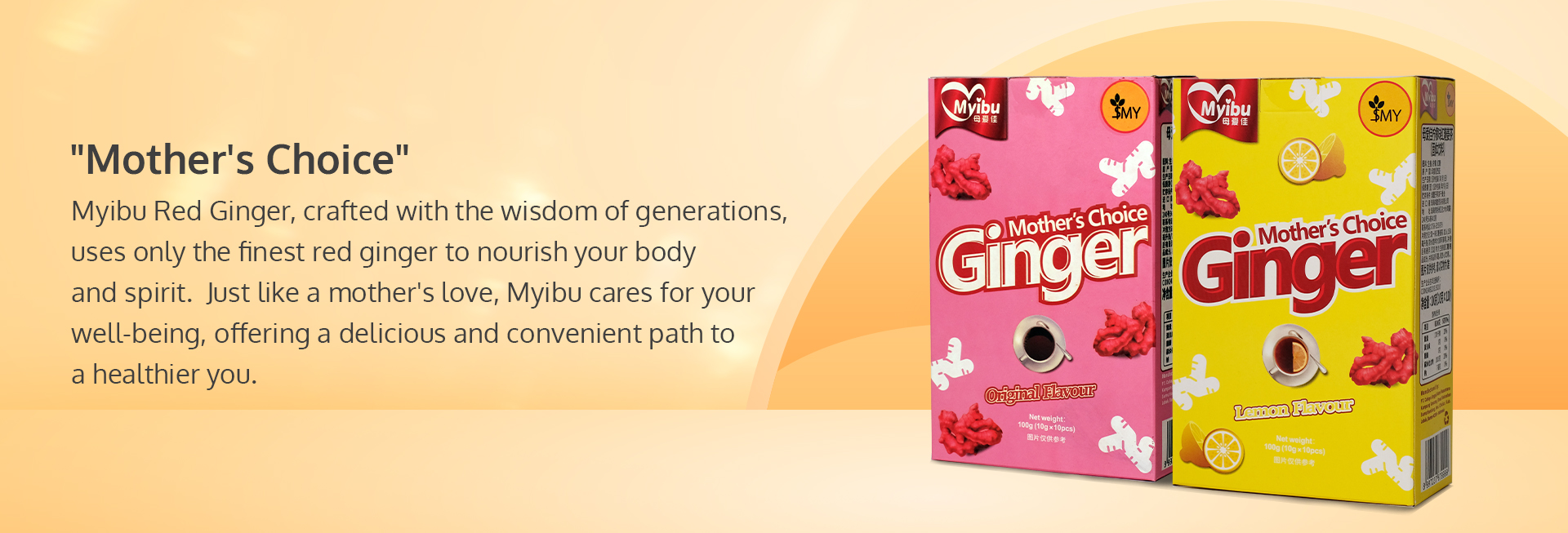 BANNER WEBSITE MYIBU