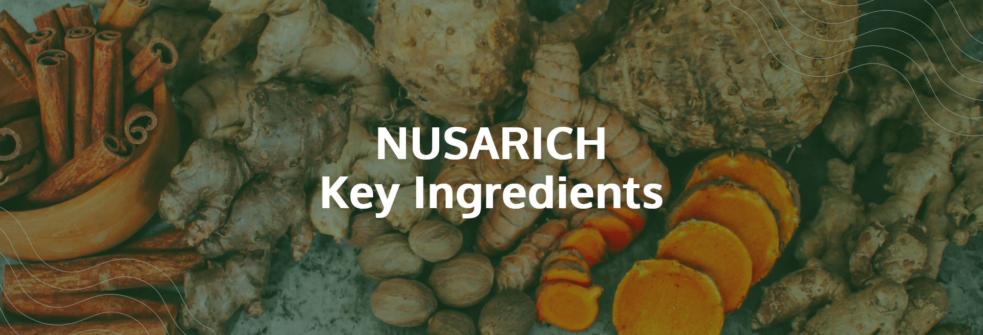 BANNER KEY INGREDIENTS 2